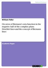 On zeros of Riemann's zeta function in the negative half of the complex plane. Dirichlet lines and the concept of Riemann lines