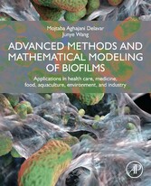 Advanced Methods and Mathematical Modeling of Biofilms