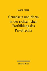 Grundsatz und Norm in der richterlichen Fortbildung des Privatrechts