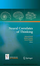 Neural Correlates of Thinking