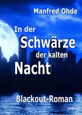 In der Schwärze der kalten Nacht - Blackout-Roman