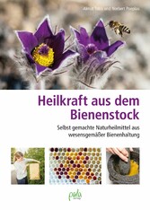 Heilkraft aus dem Bienenstock