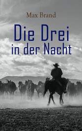 Die Drei in der Nacht