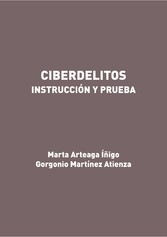 Ciberdelitos. Instrucción y prueba