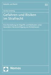 Gefahren und Risiken im Strafrecht