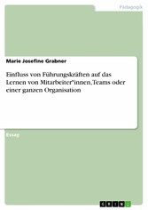 Einfluss von Führungskräften auf das Lernen von Mitarbeiter*innen, Teams oder einer ganzen Organisation