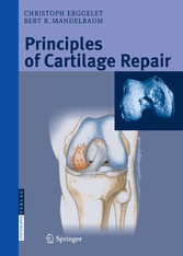 Principles of Cartilage Repair