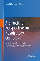 A Structural Perspective on Respiratory Complex I