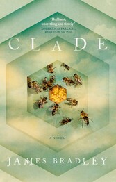 Clade