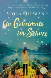 Ein Geheimnis im Schnee