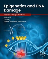 Epigenetics and DNA Damage