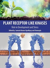 Plant Receptor-Like Kinases