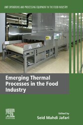 Emerging Thermal Processes in the Food Industry