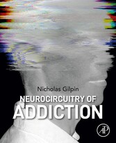 Neurocircuitry of Addiction