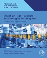 Effect of High-Pressure Technologies on Enzymes