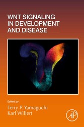 Wnt Signaling in Development and Disease