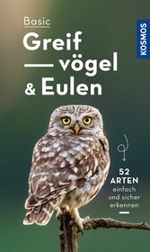 Basic Eulen Greifvögel