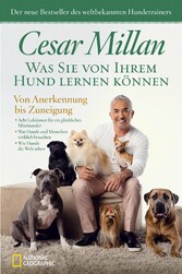 Was Sie von Ihrem Hund lernen können