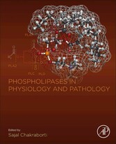 Phospholipases in Physiology and Pathology