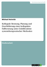 Kollegiale Beratung. Planung und Durchführung einer kollegialen Fallberatung unter Zuhilfenahme systemtherapeutischer Methoden