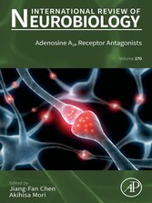 Adenosine A2A Receptor Antagonists