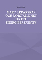 Makt, ledarskap och jämställdhet ur ett energiperspektiv