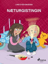 Næturgistingin