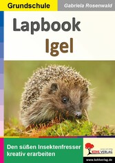 Lapbook Igel