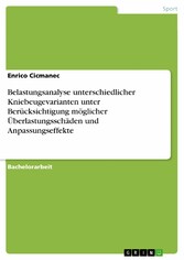 Belastungsanalyse unterschiedlicher Kniebeugevarianten unter Berücksichtigung möglicher Überlastungsschäden und Anpassungseffekte