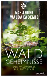 Waldgeheimnisse