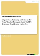 Organisationsberatung am Beispiel der Firma 'Baufix Montagetechnik GmbH'. Relevante Begriffe und Methoden