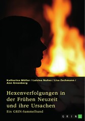 Hexenverfolgungen in der Frühen Neuzeit und ihre Ursachen. Über den Hexenhammer, die Hexenprozesse von Salem und die Verurteilung von Jeanne d'Arc