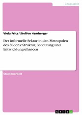 Der informelle Sektor in den Metropolen des Südens: Struktur, Bedeutung und Entwicklungschancen