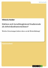 Erleben sich berufsbegleitend Studierende als Arbeitskraftunternehmer?