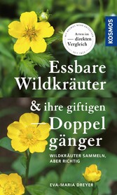 Essbare Wildkräuter und ihre giftigen Doppelgänger