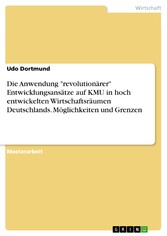 Die Anwendung 'revolutionärer' Entwicklungsansätze auf KMU in hoch entwickelten Wirtschaftsräumen Deutschlands. Möglichkeiten und Grenzen