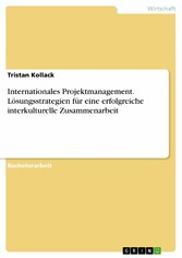 Internationales Projektmanagement. Lösungsstrategien für eine erfolgreiche interkulturelle Zusammenarbeit