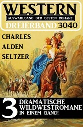 Western Dreierband 3040