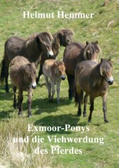 Exmoor-Ponys und die Viehwerdung des Pferdes