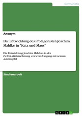 Die Entwicklung des Protagonisten Joachim Mahlke in 'Katz und Maus'