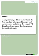 Niedrigschwellige Hilfen und Systemische Beratung. Beurteilung des Bildungs- und Lernprozesses im Rahmen des Moduls VII 'Handlungsformen und Handlungsfelder der Sozialpädagogik'