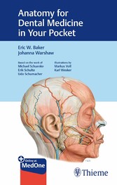 Anatomy for Dental Medicine in Your Pocket