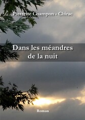 Dans les méandres de la nuit