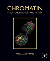 Chromatin