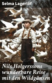 Nils Holgerssons wunderbare Reise mit den Wildgänsen