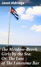 The Meadow-Brook Girls by the Sea; Or, The Loss of The Lonesome Bar