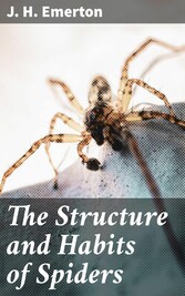 The Structure and Habits of Spiders