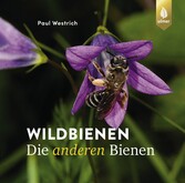 Wildbienen, die anderen Bienen