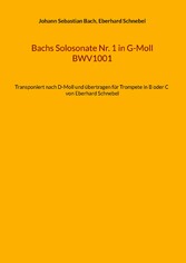 Bachs Solosonate Nr. 1 in G-Moll BWV1001