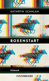 Boxenstart. Roman